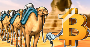 在埃及挖矿涉及哪些税？矿企税务研究